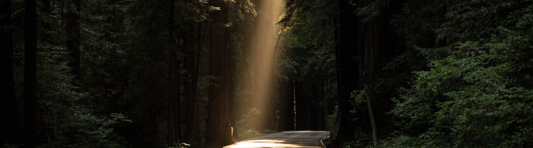 Sunlight on a street to represent MATCH contacts