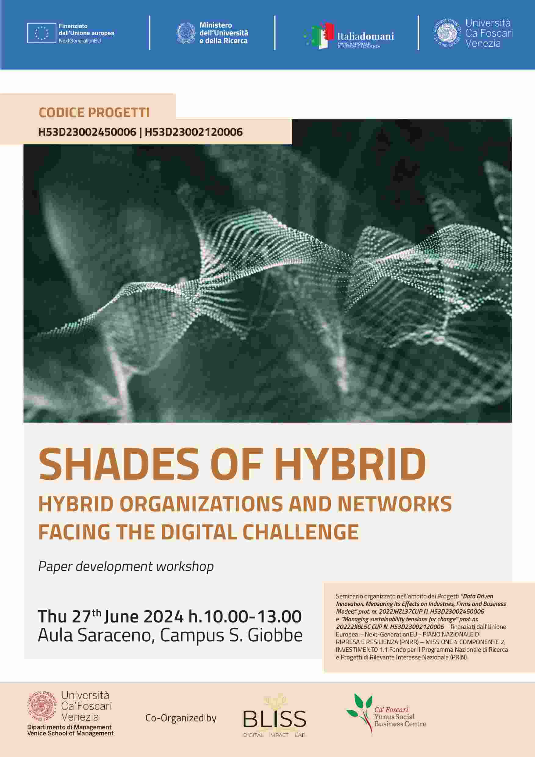 Shades of Hybrid: Hybrid organizations and networks facing the digital challenge